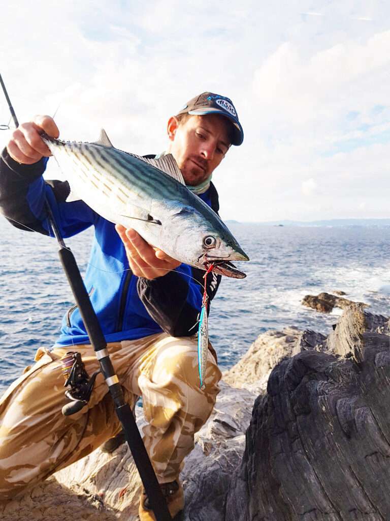Avec un Jidai Explorer Tackle manié en shore jigging, il est possible de prendre de la pélamide du bord ! 