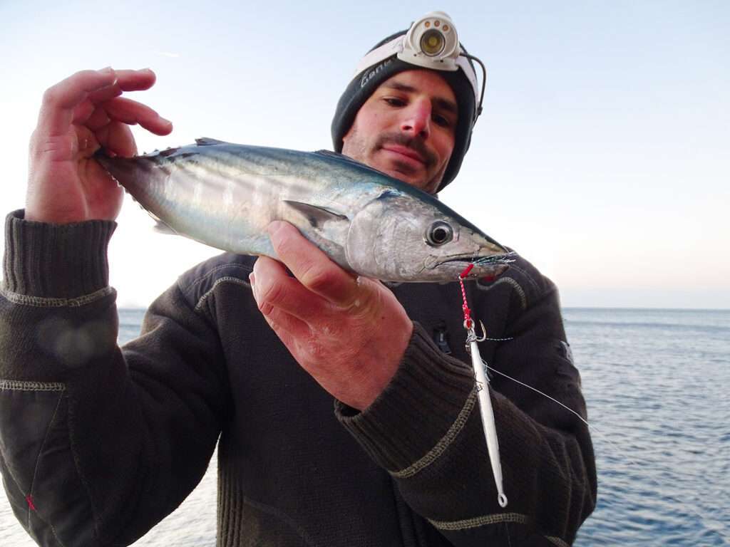Pélamide prise en shore jigging par Etienne avec le Jidai Explorer Tackle