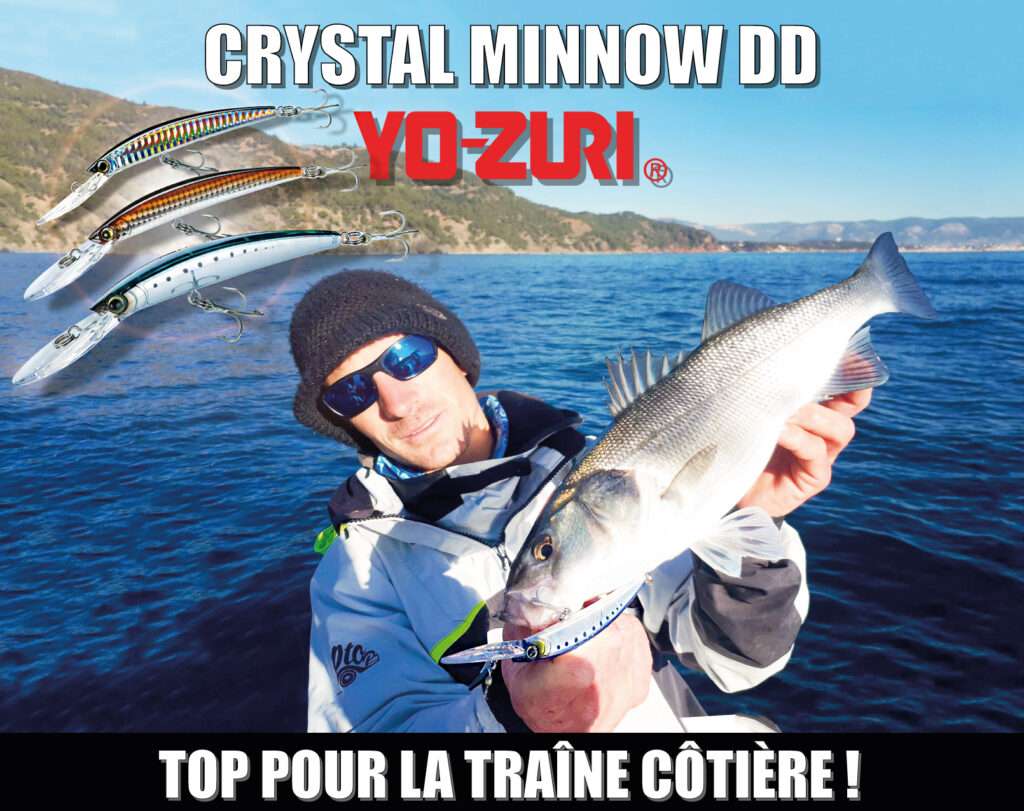 Le Crystal Minnow DD est hyper efficace en traîne !