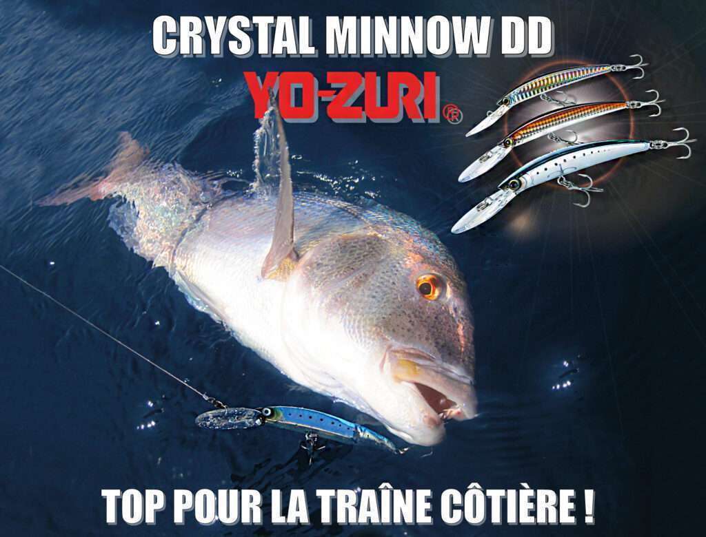 Magnifique denti pris en traînant un Crystal Minnow DD Yo-Zuri !