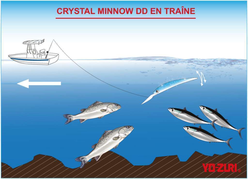 Le Crystal Minnow DD en traîne permet de pêcher bars, bonitous, pélamides, etc