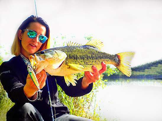 Un must sur les bass et les brochets en freshwater !