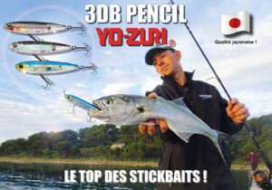 3DB Pencil Yo-Zuri : le top des stickbaits !