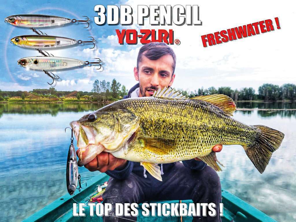 Le 3DB Pencil Yo-Zuri est un must en freshwater ! 
