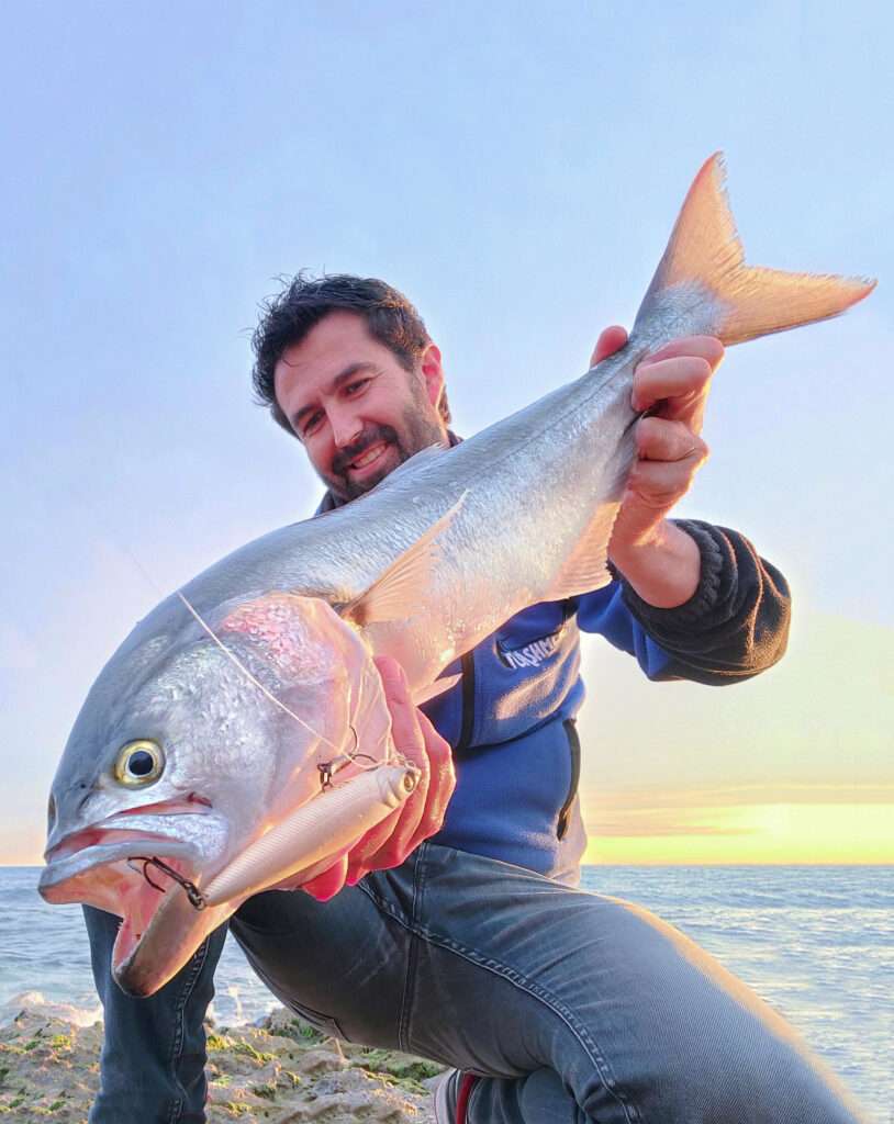 Les tassergals attaquent le 3DB Pencil Yo-Zuri avec une violence peu commune !