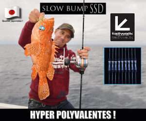 Article Cannes Slow Bump SSD Tailwalk : hyper polyvalentes !