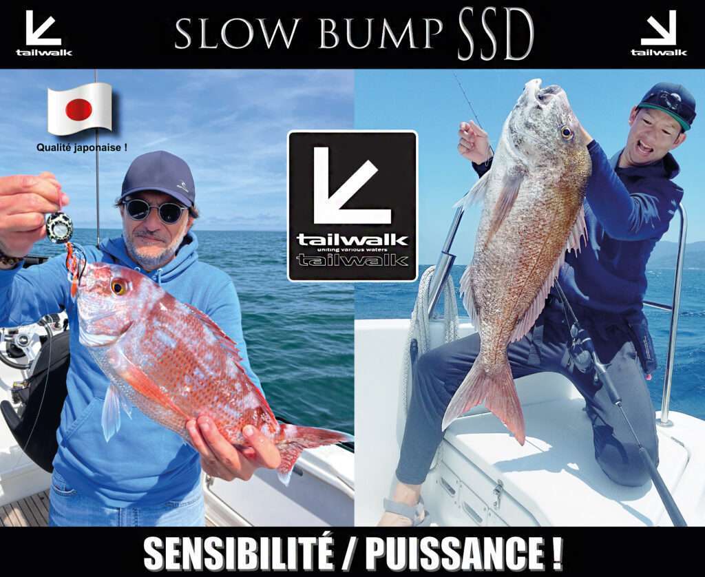 Initialement conçues pour le slow jigging, les cannes Slow Bump SSD Tailwalk sont hyper polyvalentes 