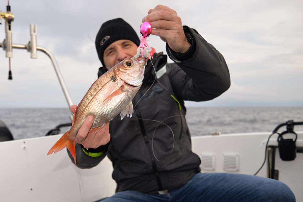 Slow Bump SSD 632 : une sensibilité hors normes !