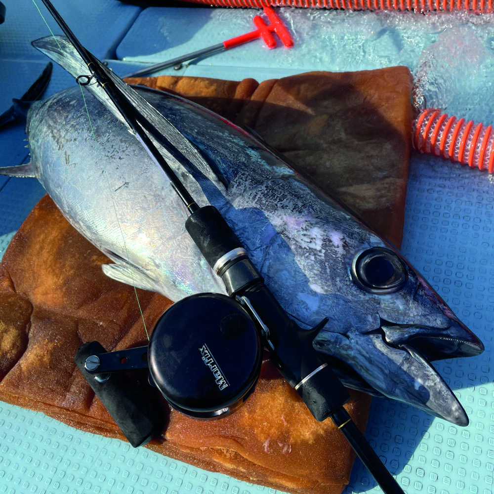 Bien que trés sensibles, les Slow Bump sont puissantes ! 