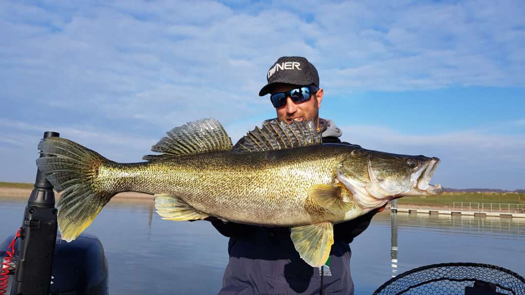 STX Owner : le top pour armer des poissons nageurs ! 