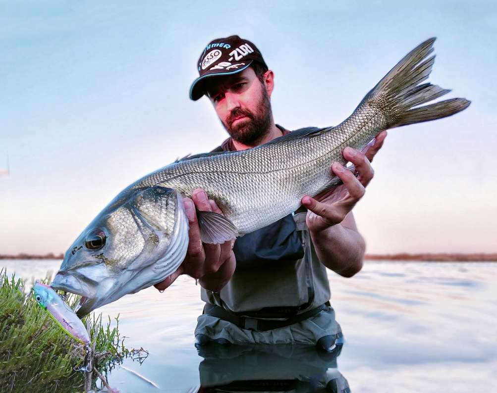 Cannes Hi-Tide SSD Tailwalk : top pour le bar !