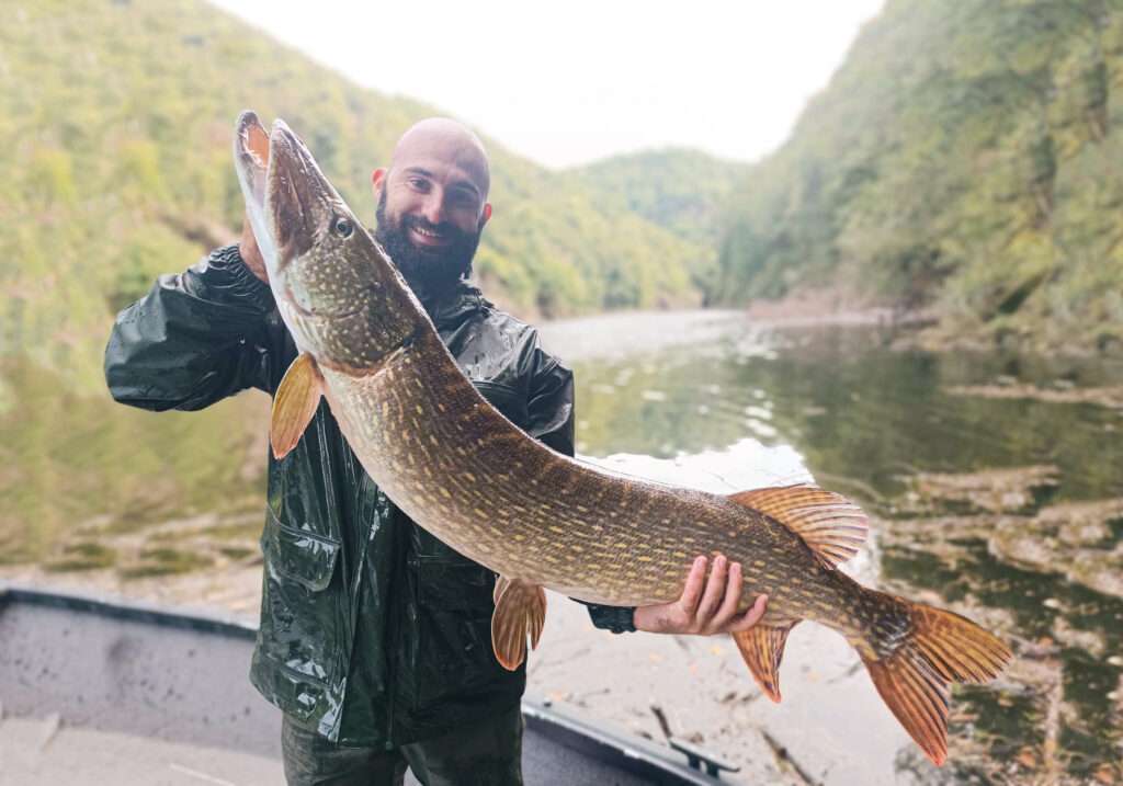 Le STT-33MF Predator SP Owner : le top pour les gros brochets en no-kill ! 